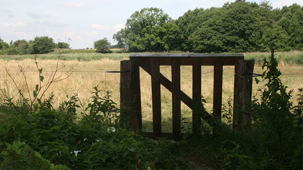 Zeltplatz – Freiheitsbrücke, Københoved