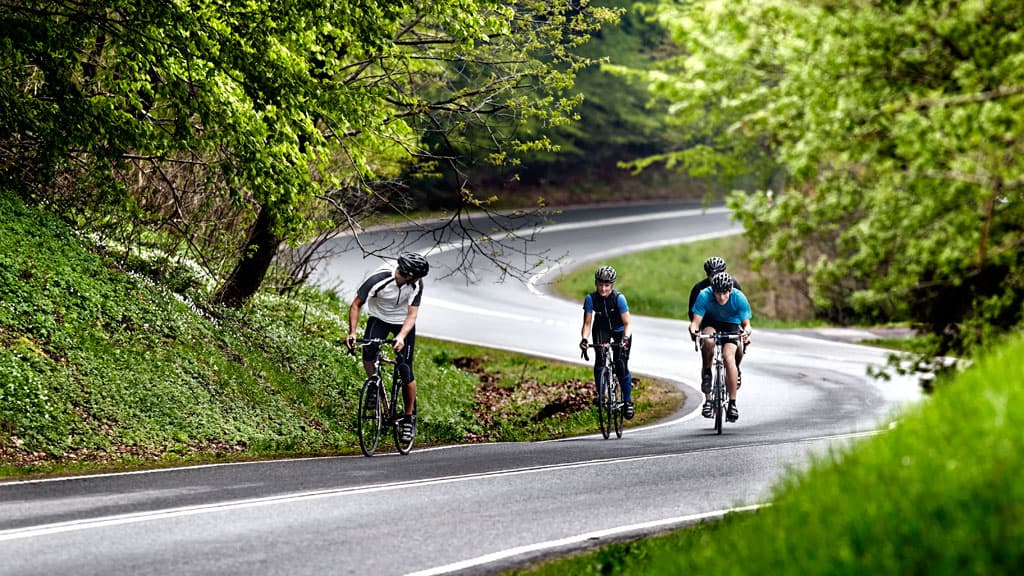 Comwell Rebild Bakker